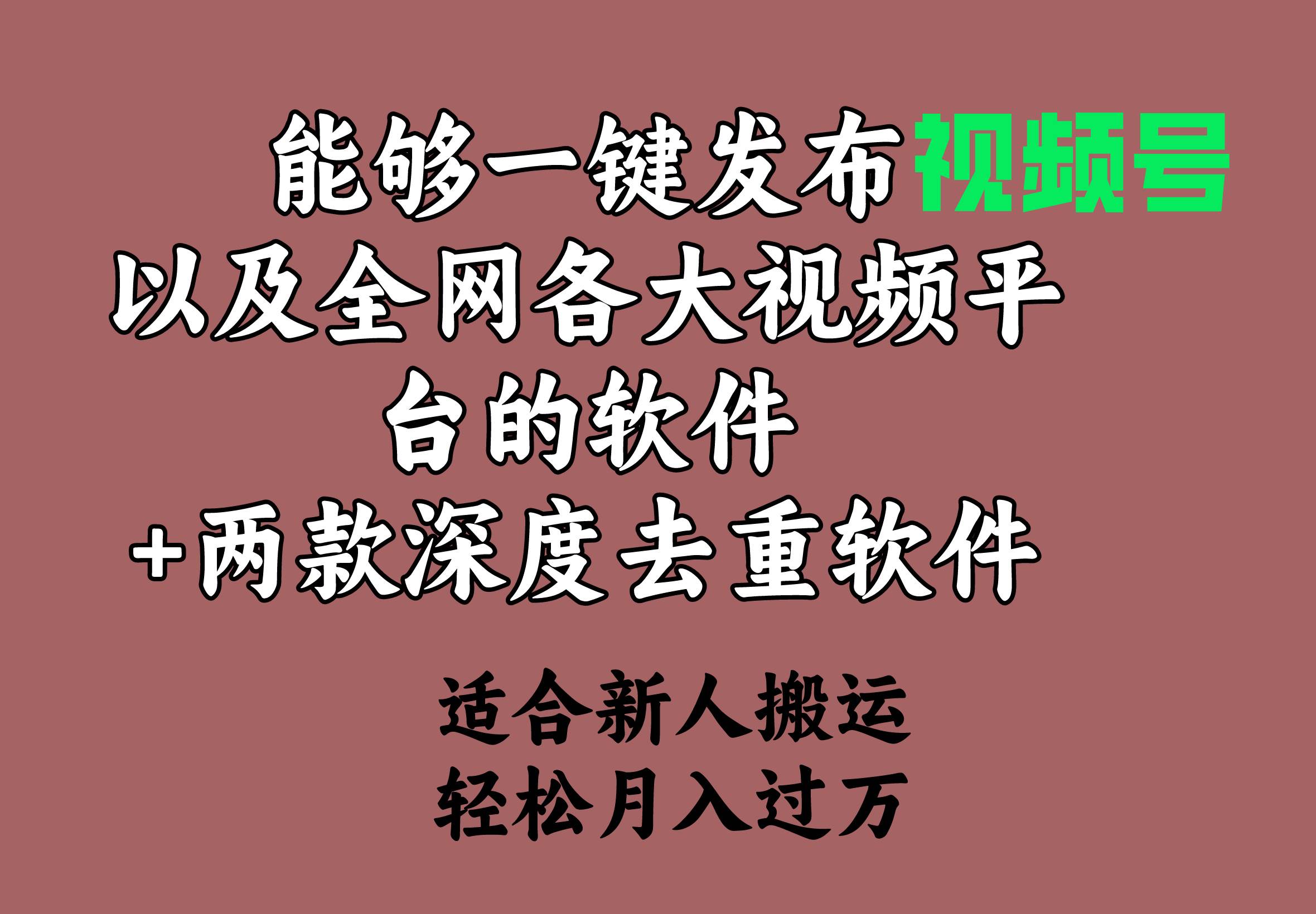 能够一键发布视频号以及全网各大视频平台的软件+两款深度去重软件 适合…大成网创吧-网创项目资源站-副业项目-创业项目-搞钱项目大成网创吧