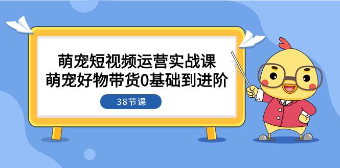 萌宠·短视频运营实战课：萌宠好物带货0基础到进阶（38节课）大成网创吧-网创项目资源站-副业项目-创业项目-搞钱项目大成网创吧