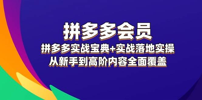 拼多多 会员，拼多多实战宝典+实战落地实操，从新手到高阶内容全面覆盖大成网创吧-网创项目资源站-副业项目-创业项目-搞钱项目大成网创吧