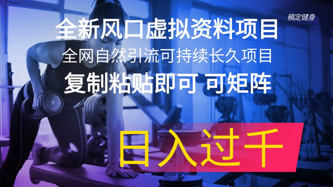 全新风口虚拟资料项目 全网自然引流可持续长久项目 复制粘贴即可可矩阵…大成网创吧-网创项目资源站-副业项目-创业项目-搞钱项目大成网创吧