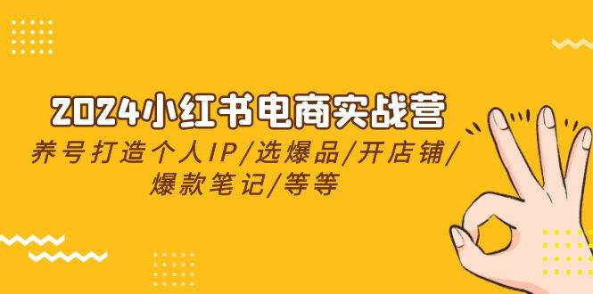 2024小红书电商实战营，养号打造IP/选爆品/开店铺/爆款笔记/等等（24节）大成网创吧-网创项目资源站-副业项目-创业项目-搞钱项目大成网创吧