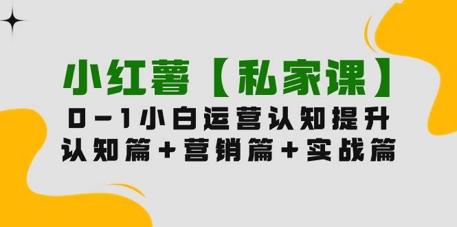 小红薯【私家课】0-1玩赚小红书内容营销，认知篇+营销篇+实战篇（11节课）大成网创吧-网创项目资源站-副业项目-创业项目-搞钱项目大成网创吧