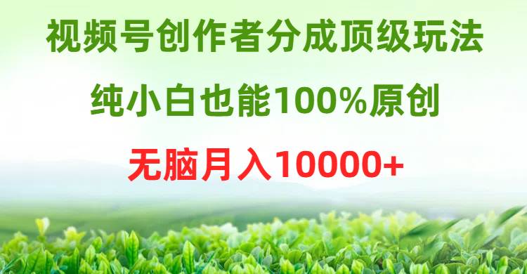 视频号创作者分成顶级玩法,纯小白也能100%原创,无脑月入10000+大成网创吧-网创项目资源站-副业项目-创业项目-搞钱项目大成网创吧