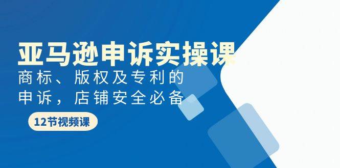 亚马逊-申诉实战课，商标、版权及专利的申诉，店铺安全必备大成网创吧-网创项目资源站-副业项目-创业项目-搞钱项目大成网创吧