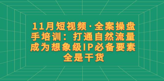 11月短视频·全案操盘手培训：打通自然流量 成为想象级IP必备要素 全是干货大成网创吧-网创项目资源站-副业项目-创业项目-搞钱项目大成网创吧