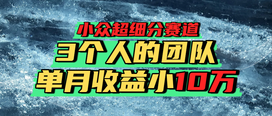 小众超细分赛道，一年百万利润的盘子！大成网创吧-网创项目资源站-副业项目-创业项目-搞钱项目大成网创吧